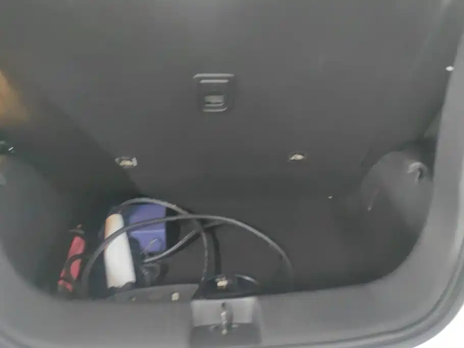 Leapmotor Zero Running T03 2021