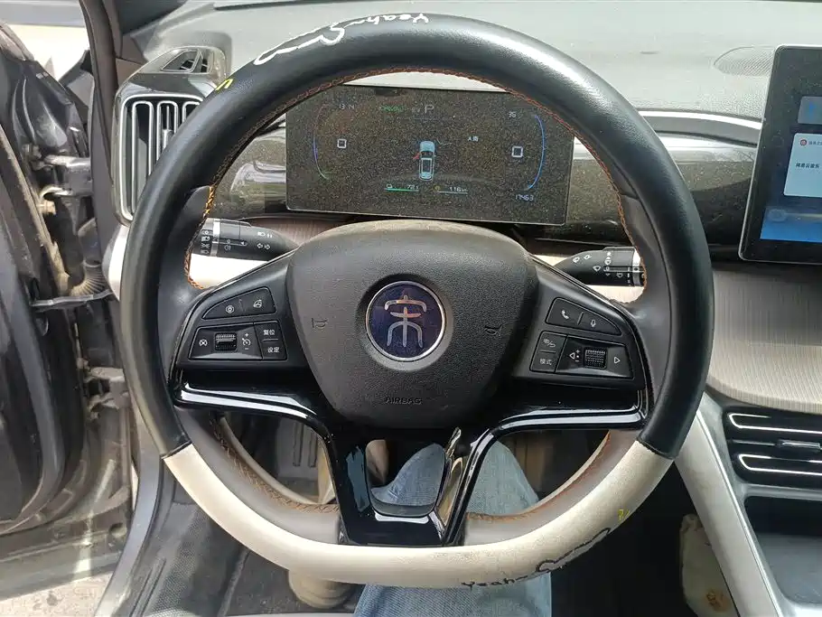 BYD Pro New Energy 2025 — фото 15