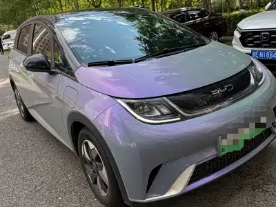 BYD Dolphin 2024