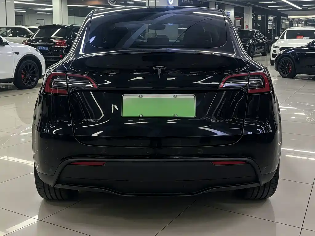 Tesla Model Y 2023 — фото 3