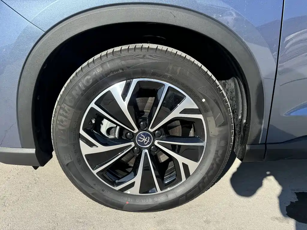 BYD Song Pro New Energy 2025 — фото 4