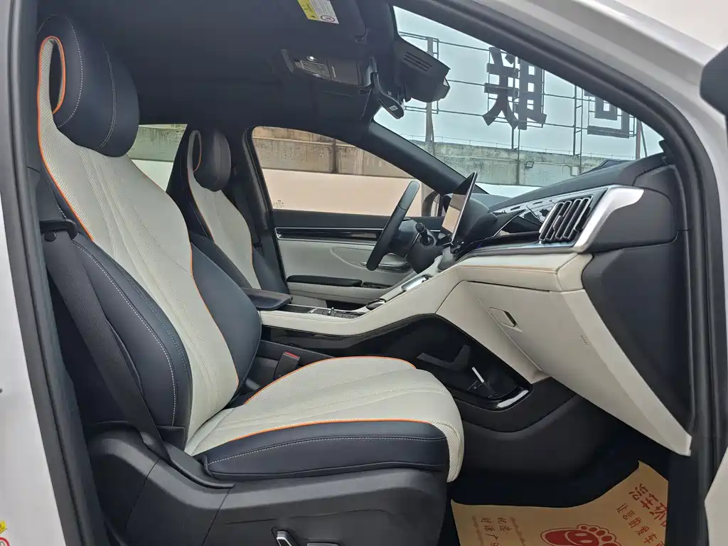 BYD PLUS New Energy 2022 — фото 8