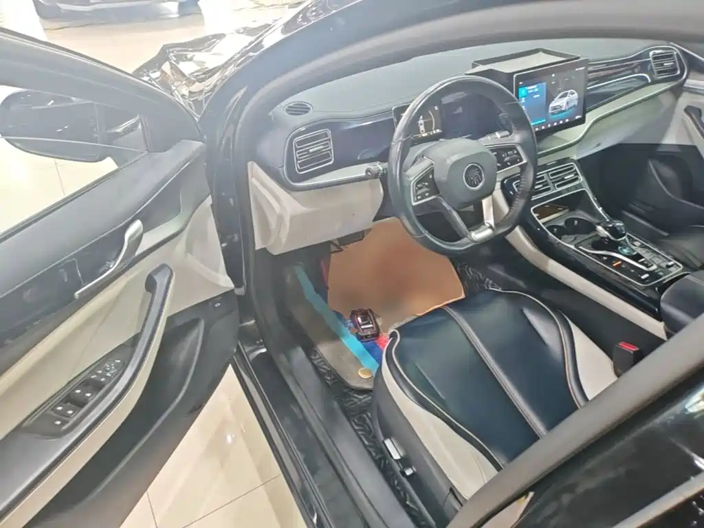 BYD Qin PLUS 2021 — фото 16