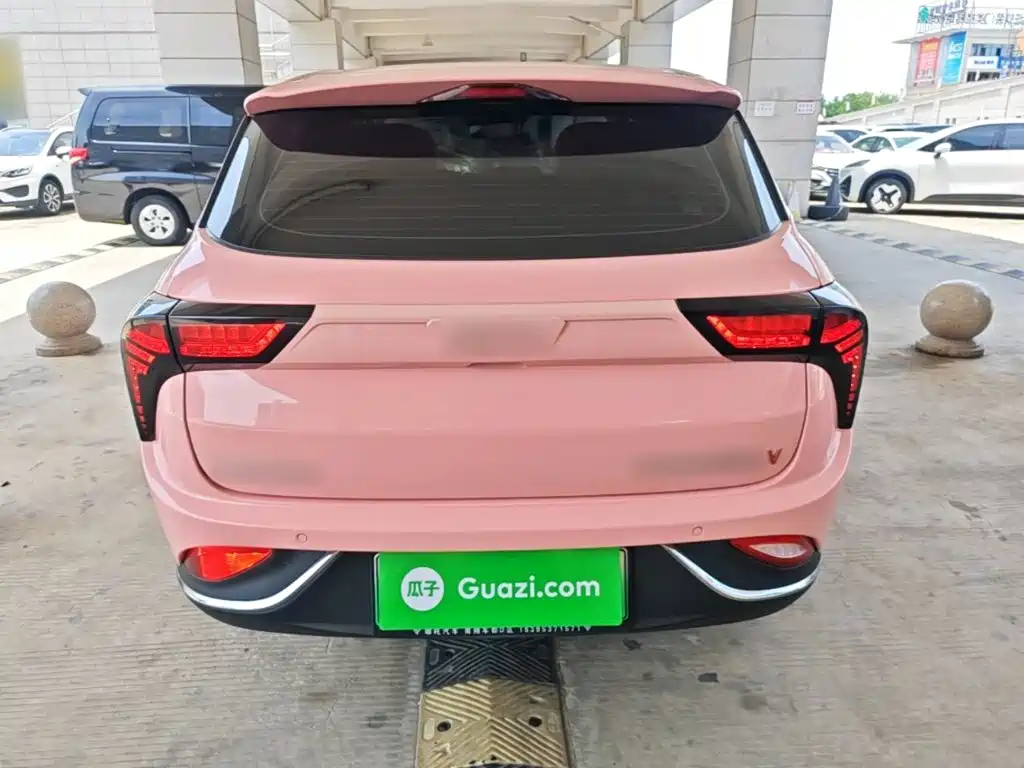 Neta V 2022