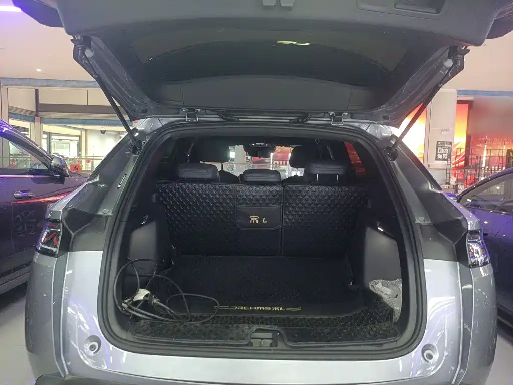 BYD L DM-i 2025 — фото 19
