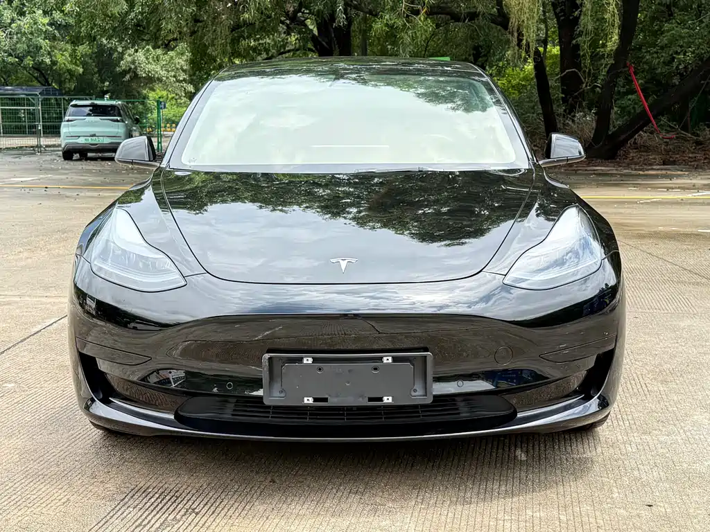 Tesla Model 3 2022 — фото 2