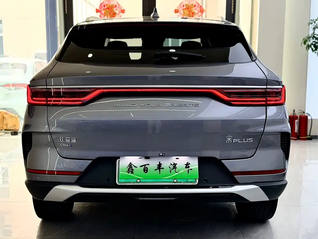 BYD Song PLUS New Energy 2023 — фото 9