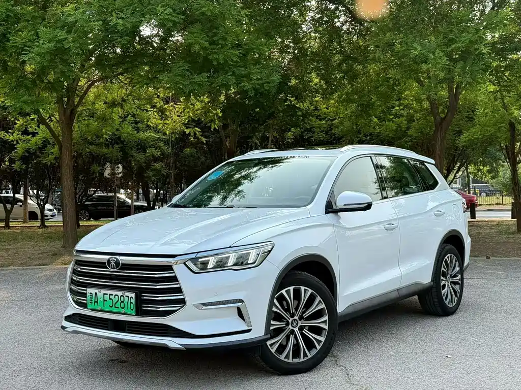 BYD Pro New Energy 2020 — фото 1