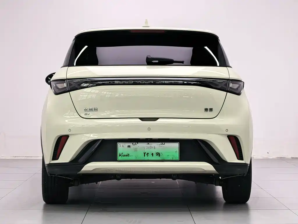 BYD Dolphin 2024