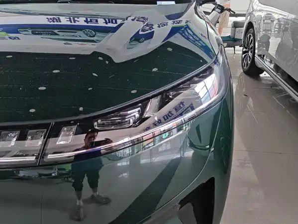 Dongfeng e008 2025