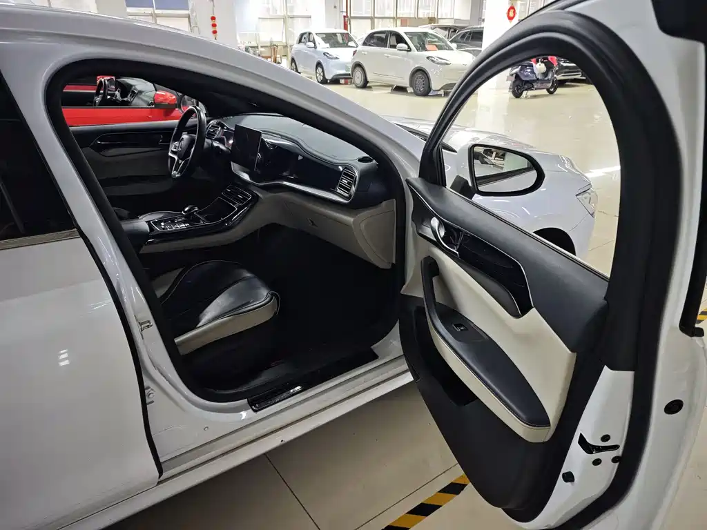 BYD Qin PLUS 2022 — фото 3