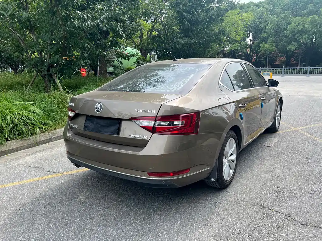 Skoda Speedy 2017