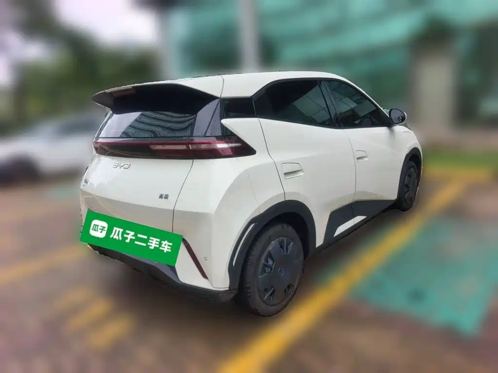 BYD Seagull 2024