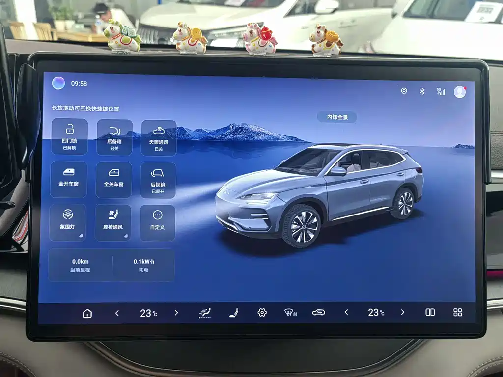 BYD PLUS New Energy 2025 — фото 9