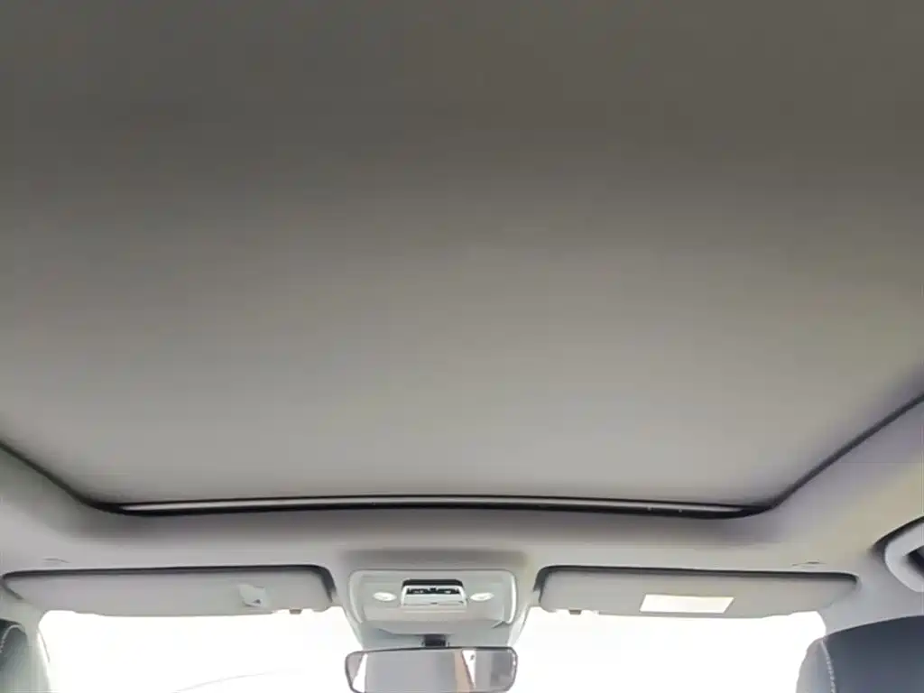 BYD PLUS New Energy 2022 — фото 18