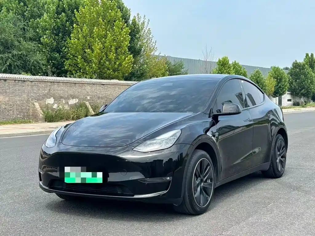 Tesla Model Y 2024 — фото 1
