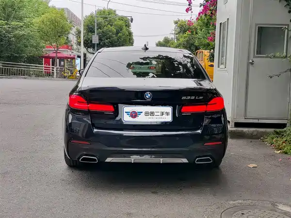BMW 5 Series New Energy 2021