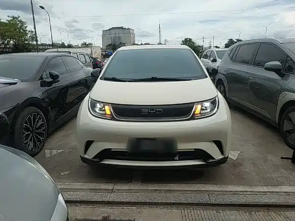 BYD Dolphin 2024