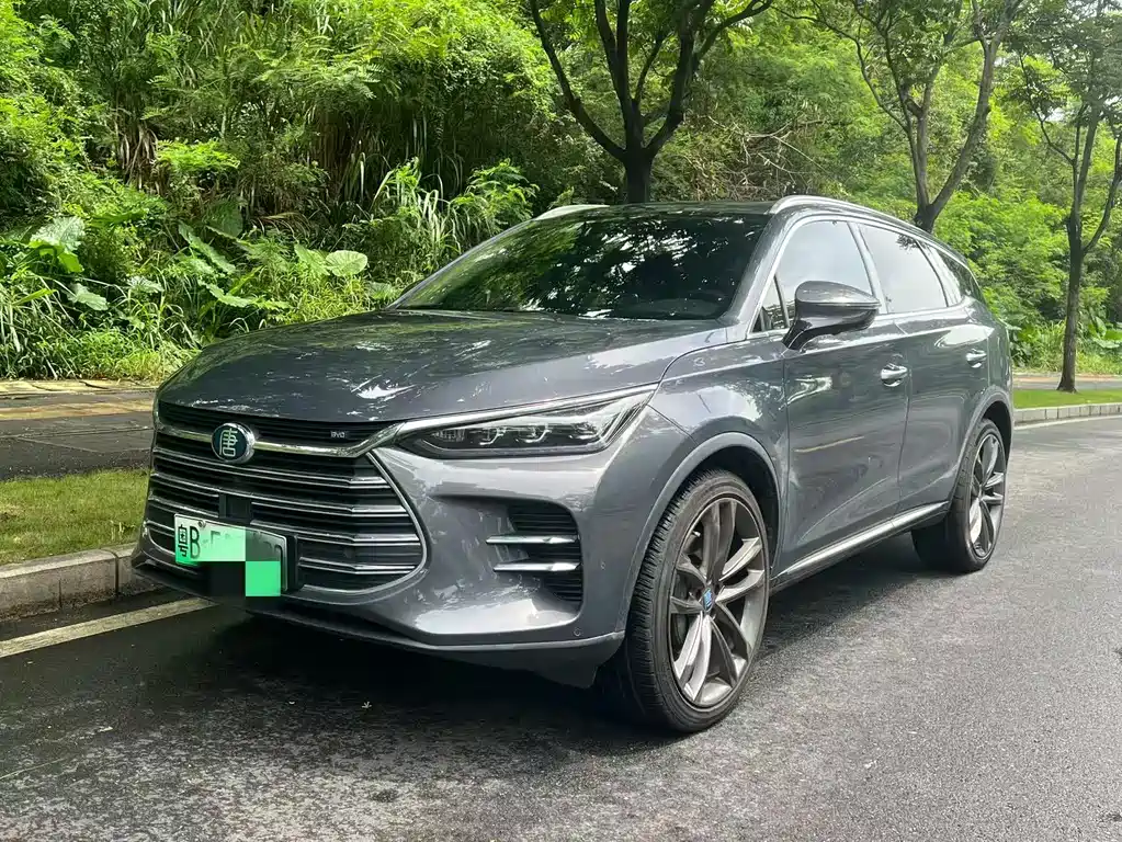 BYD Tang New Energy 2019 — фото 1