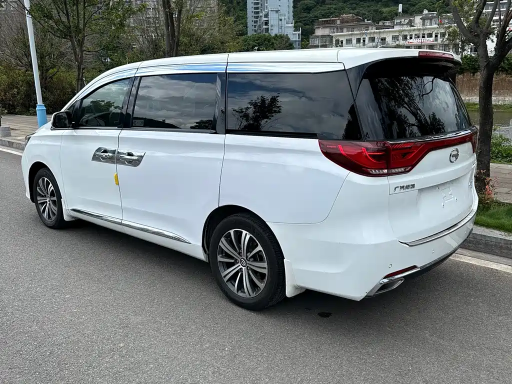 GAC Trumpchi M8 2019 — фото 5