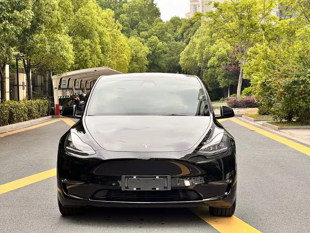 Tesla Model Y 2022 — фото 2