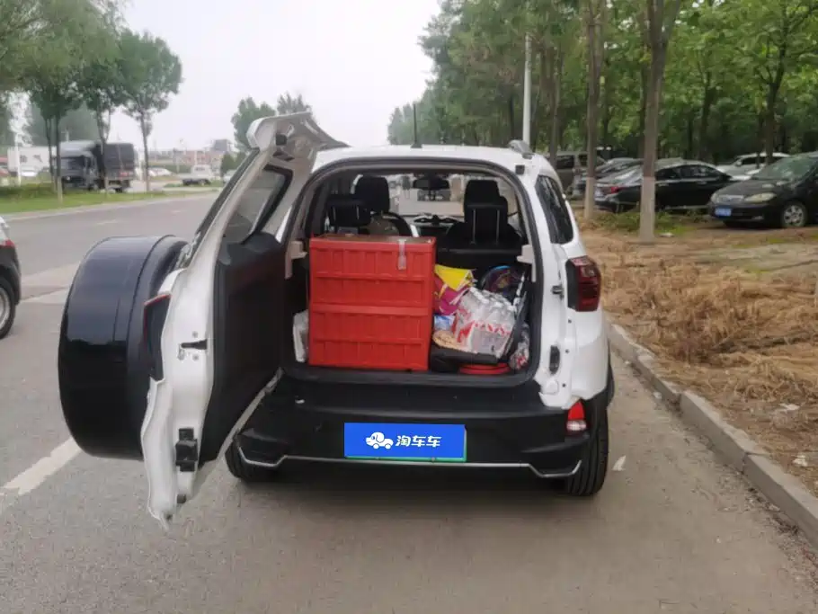 BYD Yuan New Energy 2019