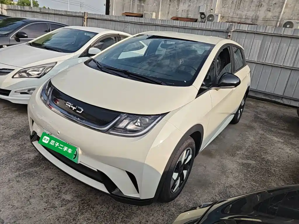BYD Dolphin 2026