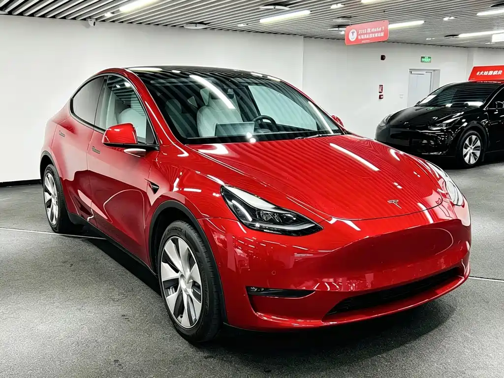 Tesla Model Y 2021 — фото 3
