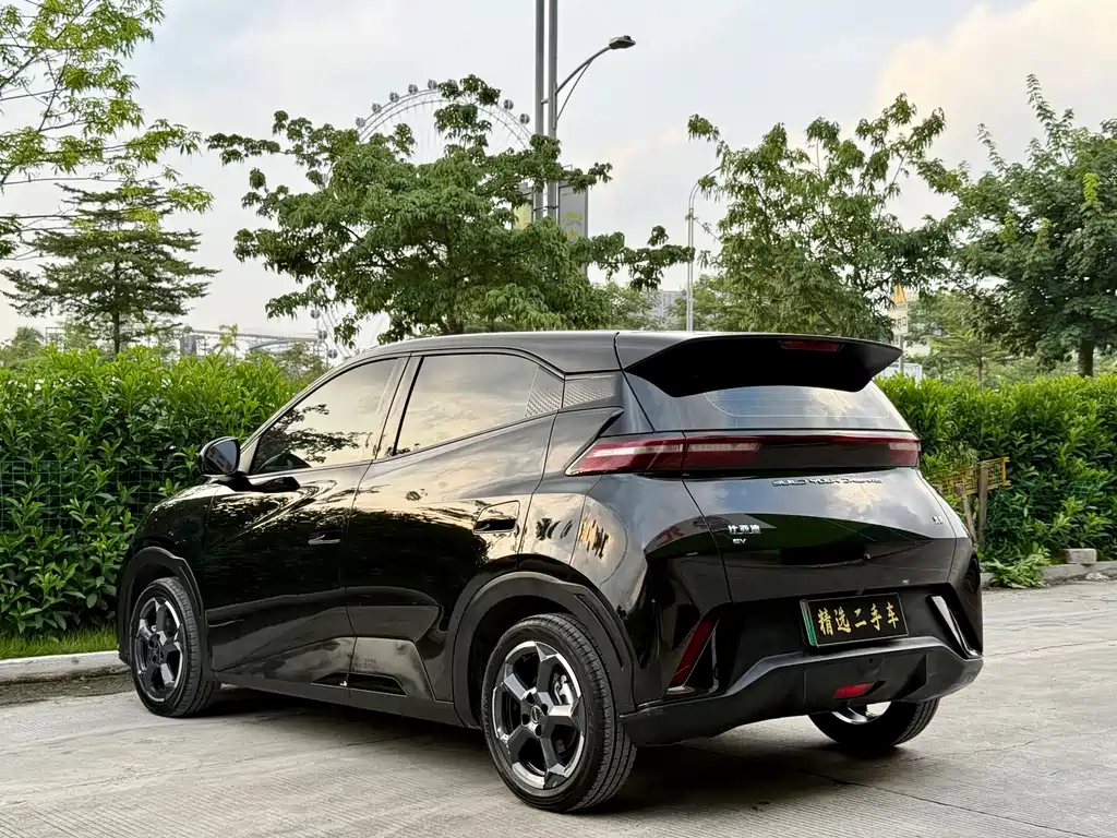 BYD Seagull 2024