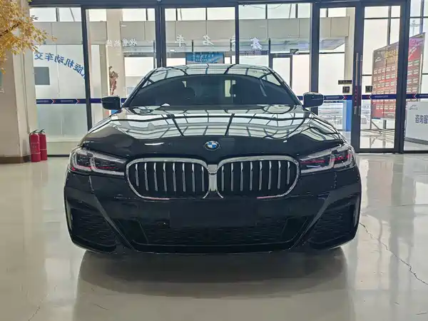 BMW 5 Series 2021