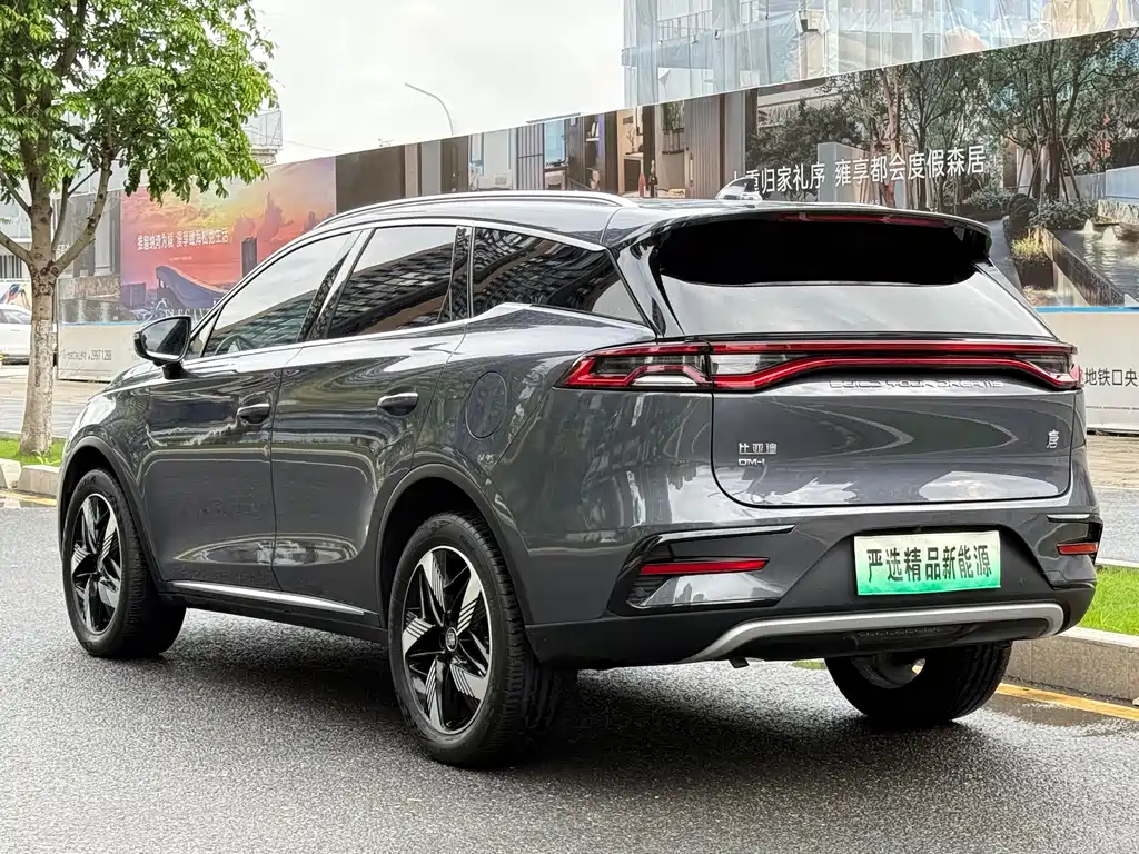 BYD Tang New Energy 2023 — фото 27