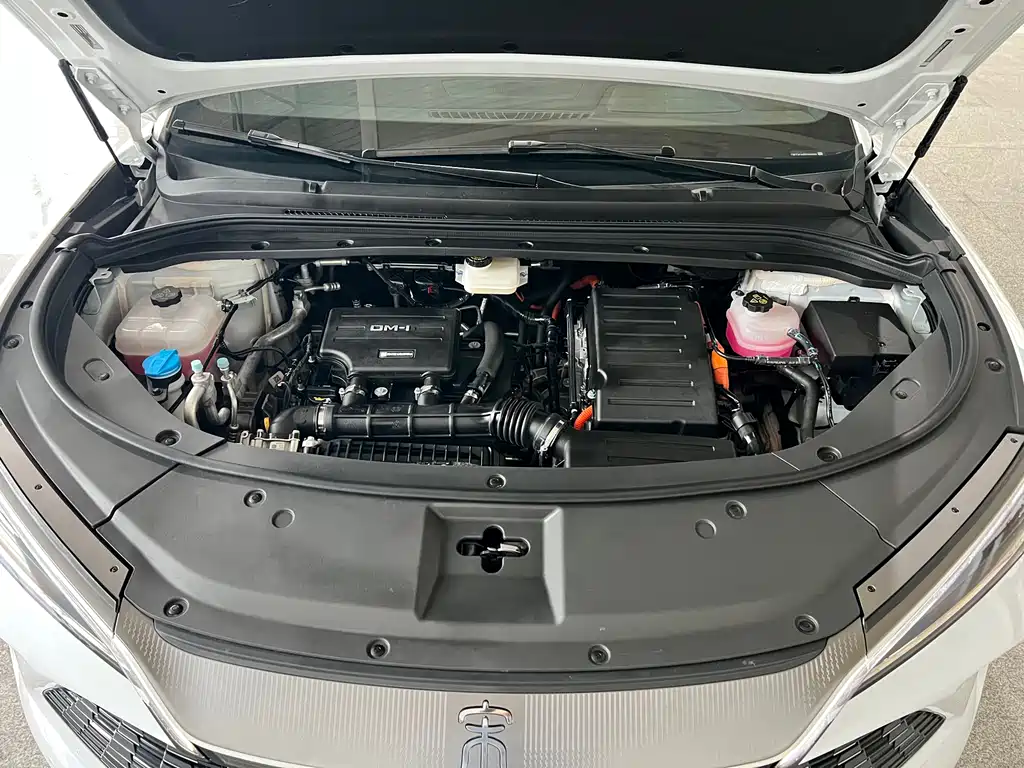 BYD L DM-i 2024 — фото 20
