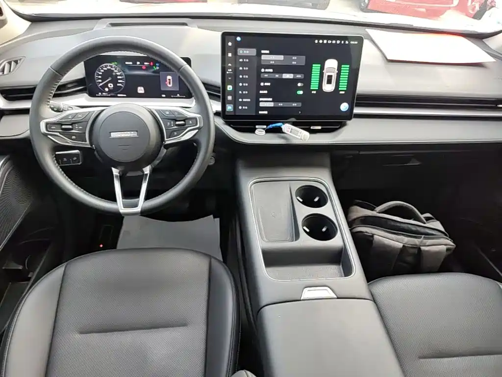 Haval H6 2024 — фото 10
