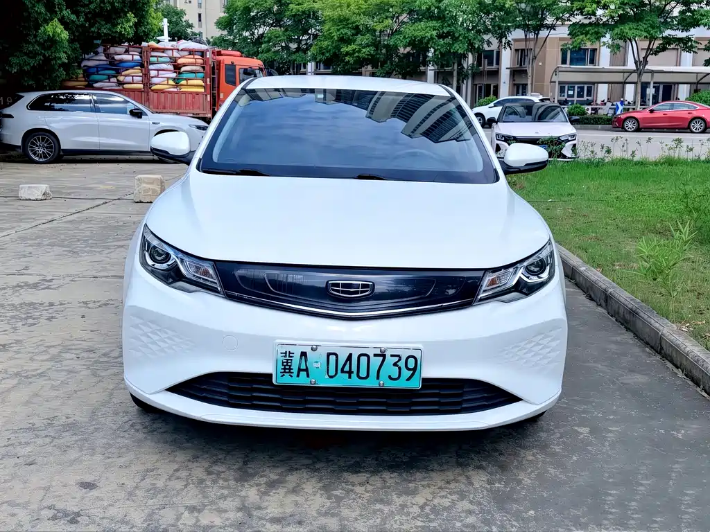 Geely New Energy 2021
