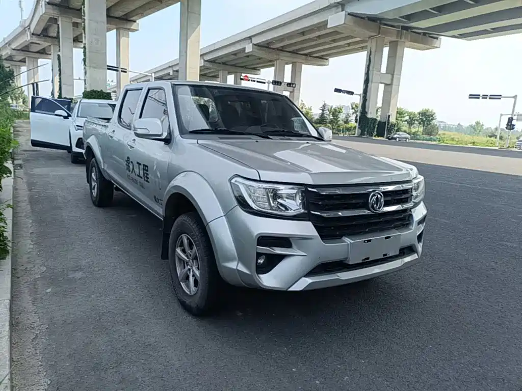 Dongfeng Ruiqi 2023