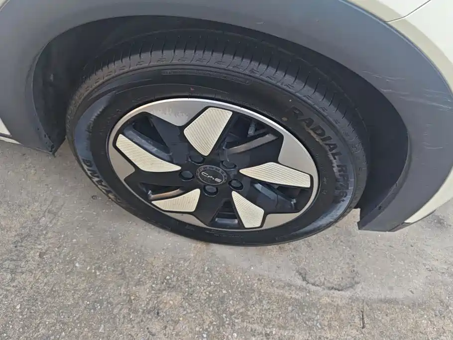 BYD Dolphin 2024
