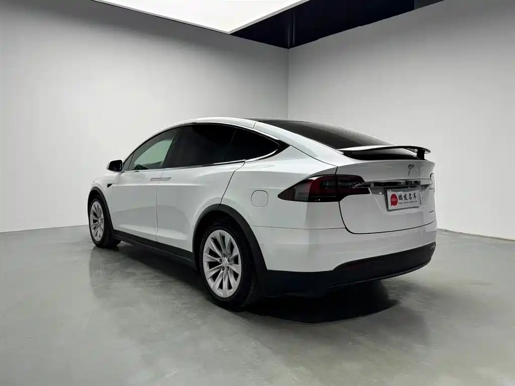 Tesla Model X 2019 — фото 12