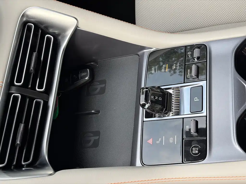 BYD Song PLUS New Energy 2024 — фото 17
