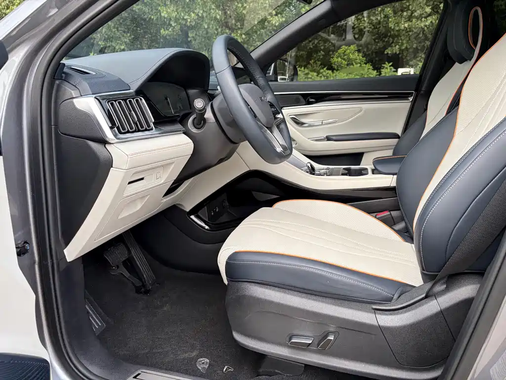 BYD Song PLUS New Energy 2024 — фото 10