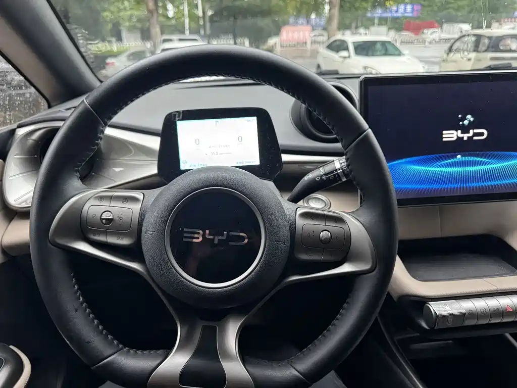 BYD Dolphin 2026