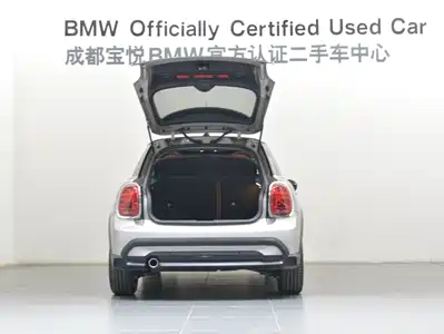 MINI MINI 2021