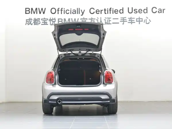 MINI MINI 2021