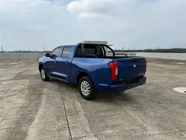 Great Wall Poer 2020