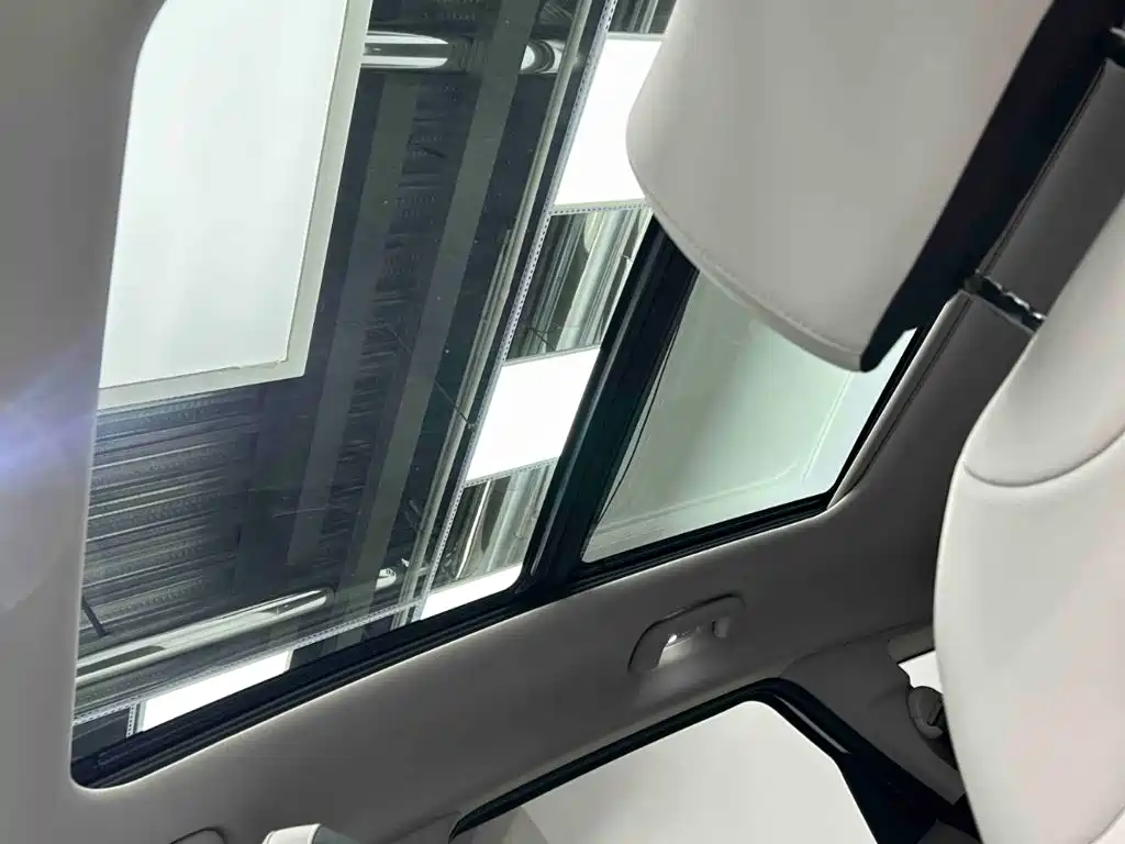 Kia Lion Platinum Expands The Boundary 2026 — фото 9