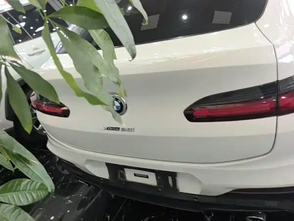 BMW X4 2019