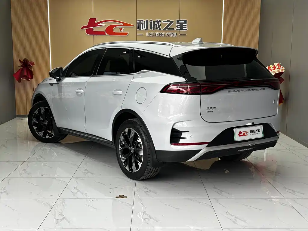 BYD Tang New Energy 2024 — фото 4