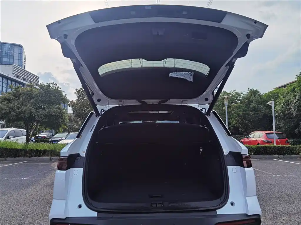 BYD Pro New Energy 2023 — фото 10
