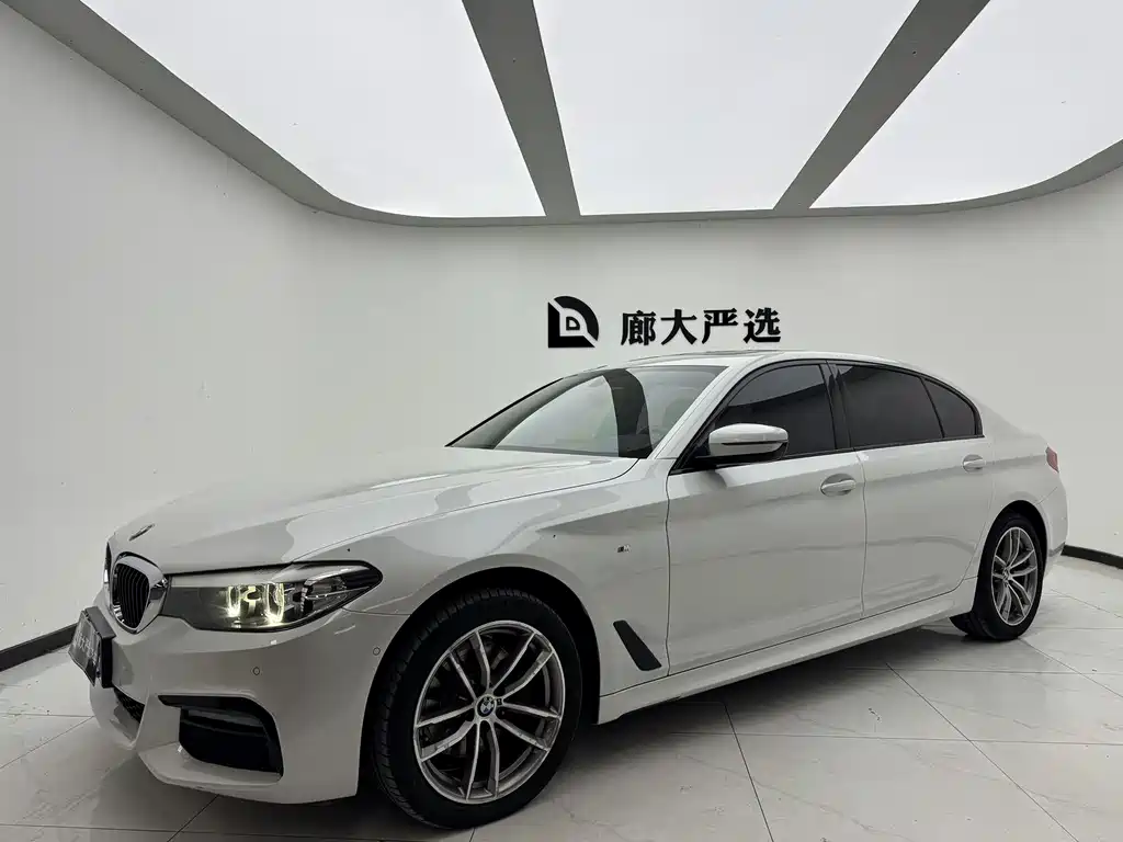 BMW 5 Series 2019