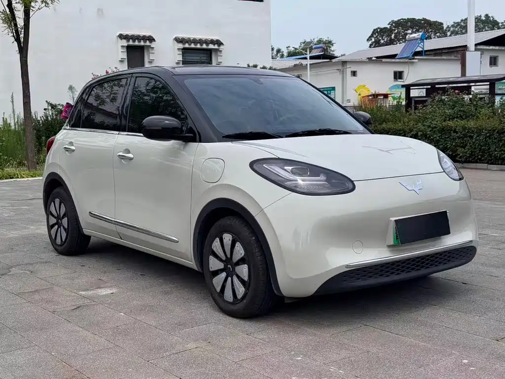 Wuling Bingo 2024