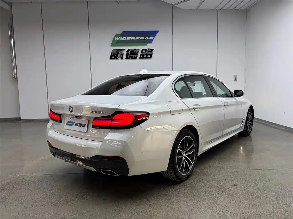 BMW 5 Series 2021